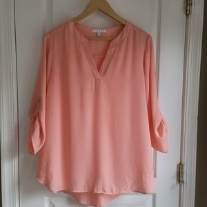 Chaus New York pretty pink sheer blouse L